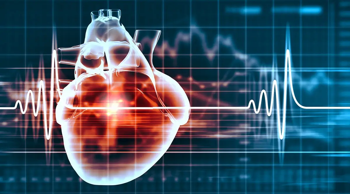 Medici MedLife Polimed - Cardiologie